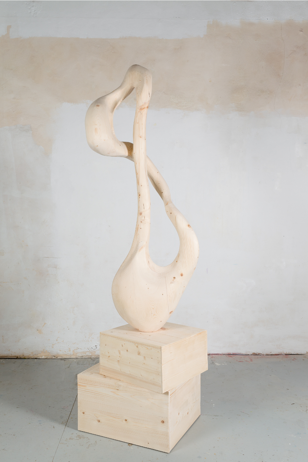 Wood Sculpture Nº17 (with two boxes pedestal) Martin Mas