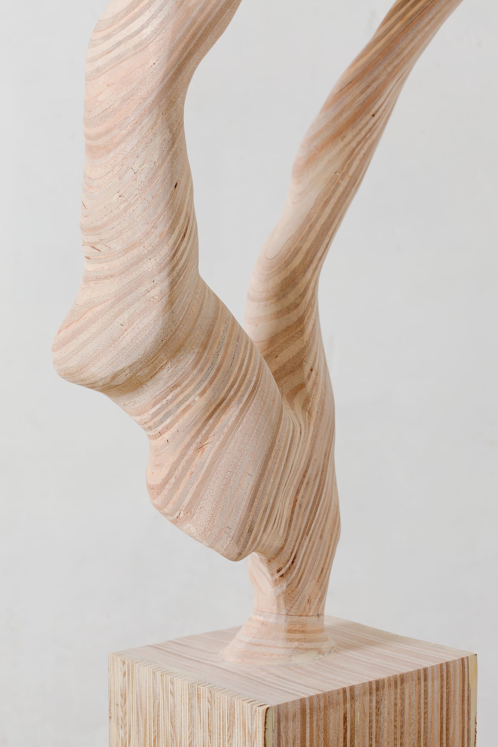 Wood N°33 (with pedestal)2 copy