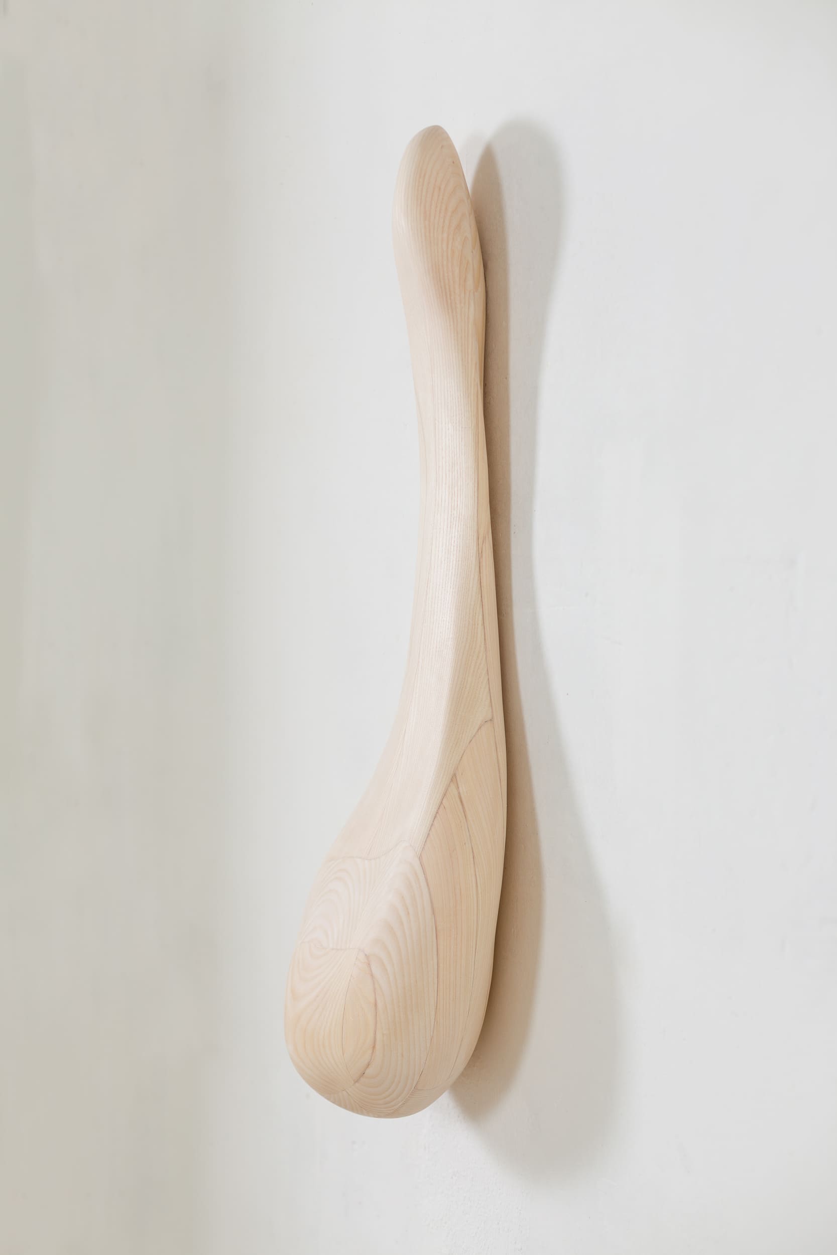 Wood sculpture Nº15 (hanging Ash tree) (1)
